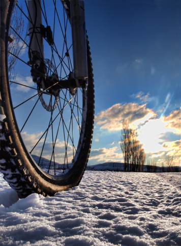 Into the Journey-gettyimages.com