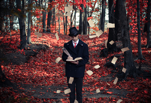 The Storyteller-Michael Shaheen, Flickr