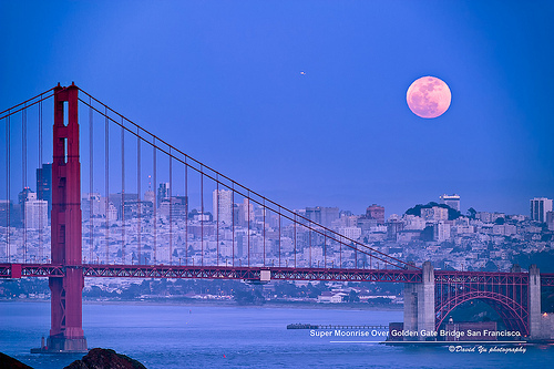 Honey moon, San Francisco bridge