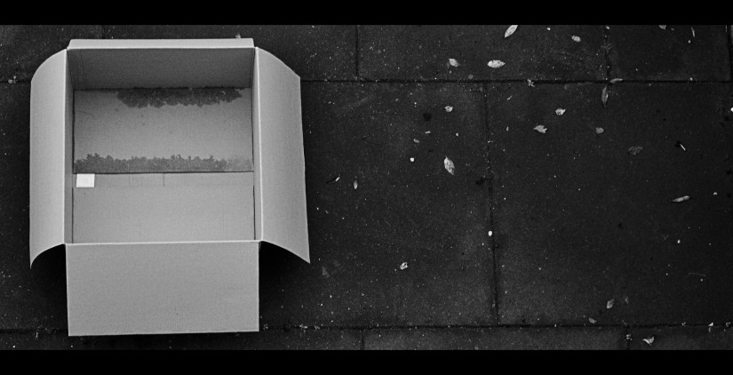 Boxed by Craig J. Sunter, flickr.com