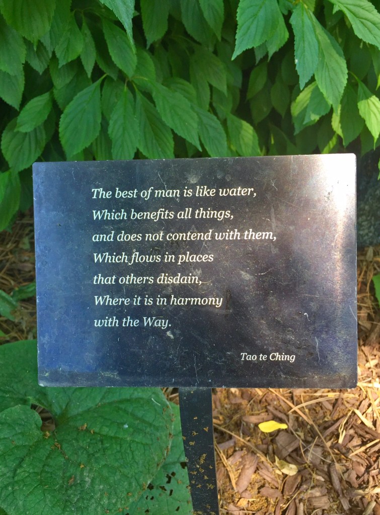 Quote by Tao te Ching
