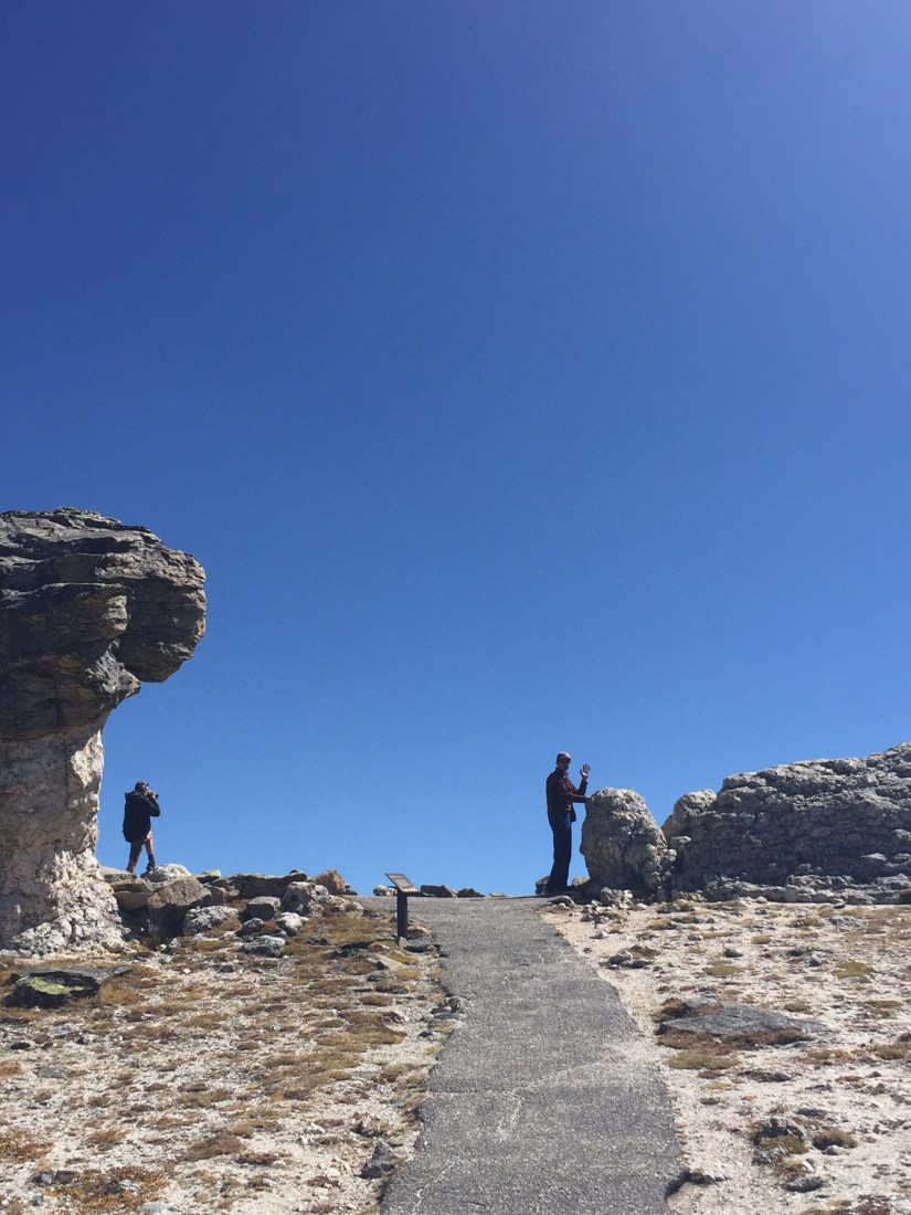 The Mushroom Rocks at RMNP