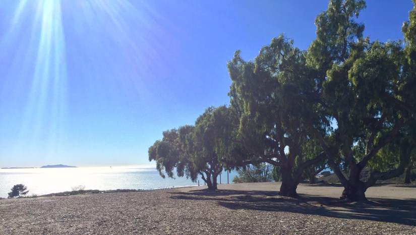 Anacapa Island, Channel Islands, Ventura, CA View from Hills